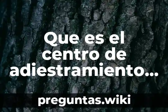 Que es el centro de adiestramiento en investigación clinica