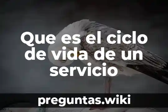 Que es el ciclo de vida de un servicio