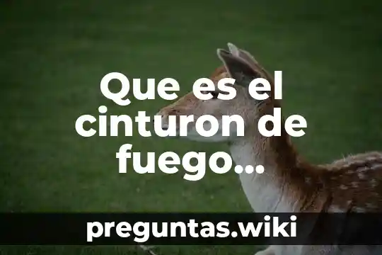 Que es el cinturon de fuego explicacion para niños