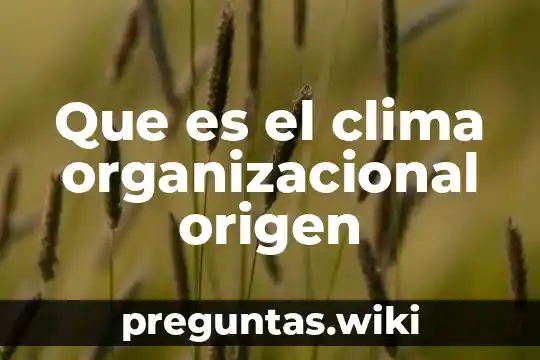 Que es el clima organizacional origen