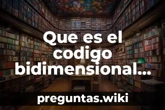 Que es el codigo bidimensional sat