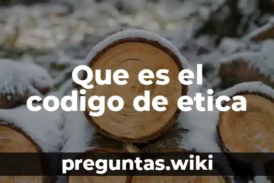 Que es el codigo de etica