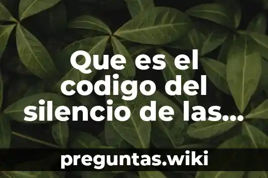 Que es el codigo del silencio de las geishas
