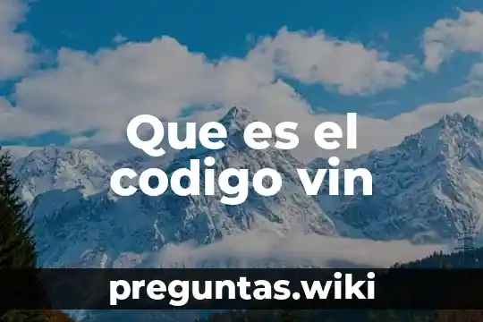 Que es el codigo vin