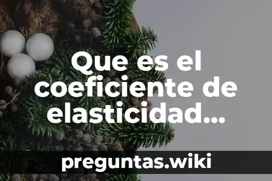Que es el coeficiente de elasticidad cruzada en economia