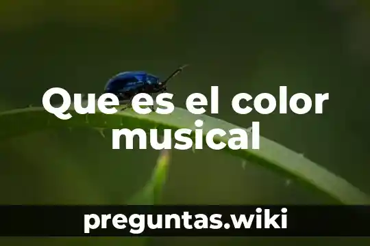 Que es el color musical