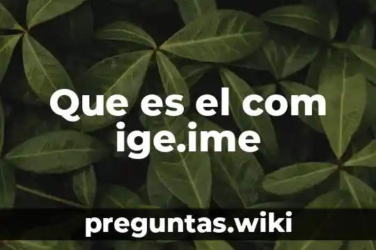 Que es el com ige.ime