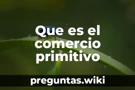 Que es el comercio primitivo