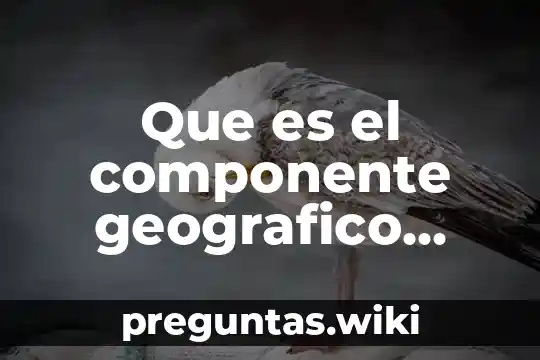 Que es el componente geografico cultural