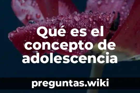 Qué es el concepto de adolescencia