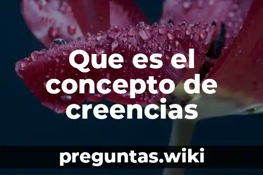 Que es el concepto de creencias