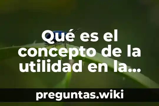 Qué es el concepto de la utilidad en la economía