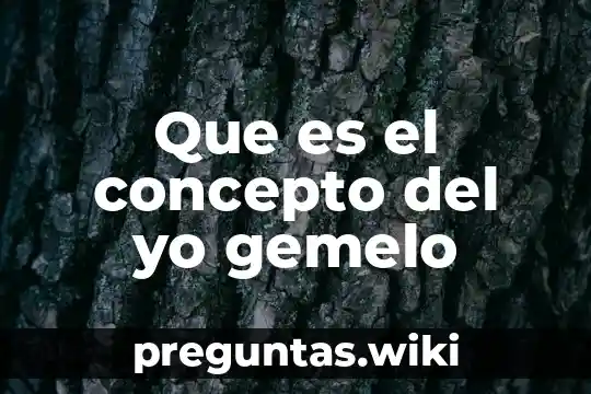 Que es el concepto del yo gemelo