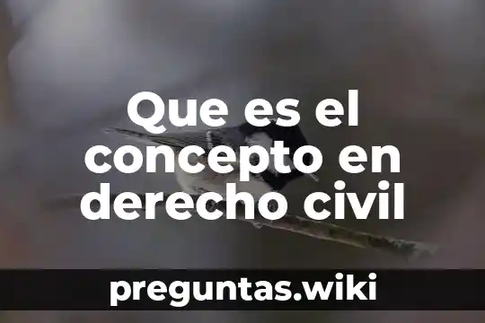 Que es el concepto en derecho civil