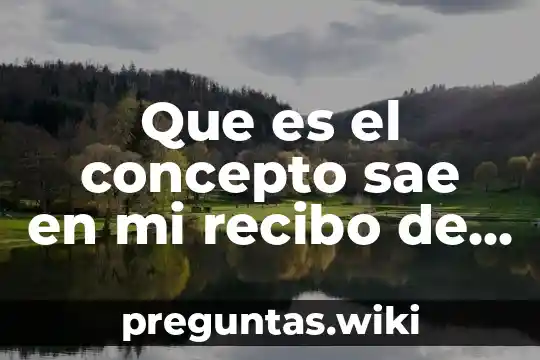 Que es el concepto sae en mi recibo de nomina