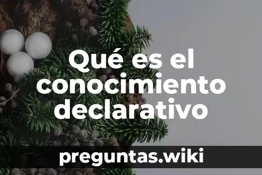 Qué es el conocimiento declarativo