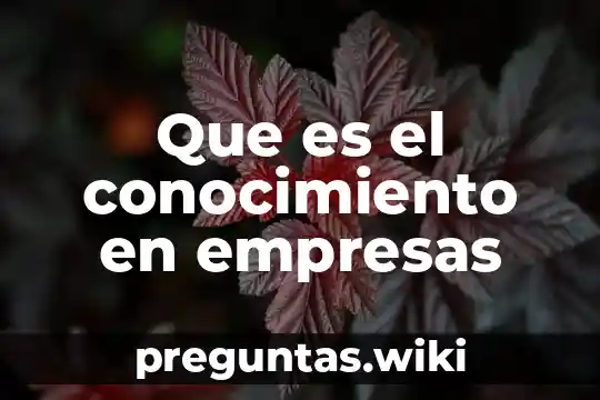 Que es el conocimiento en empresas