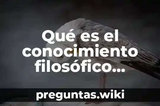 Qué es el conocimiento filosófico método observación verdad experiencia