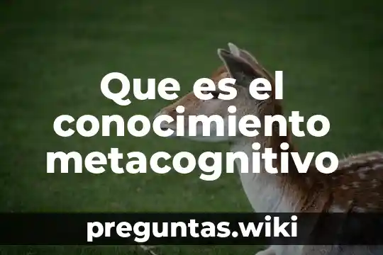 Que es el conocimiento metacognitivo