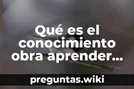 Qué es el conocimiento obra aprender y educar