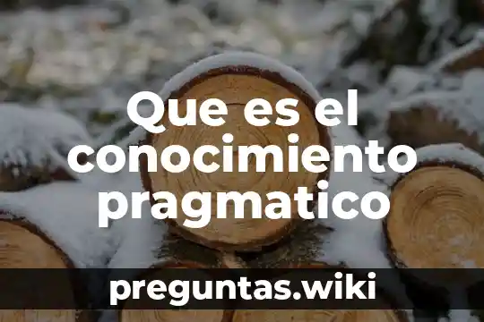 Que es el conocimiento pragmatico