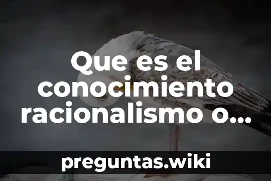 Que es el conocimiento racionalismo o formal descartes