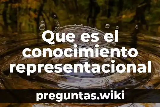 Que es el conocimiento representacional