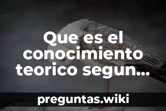 Que es el conocimiento teorico segun aristoteles