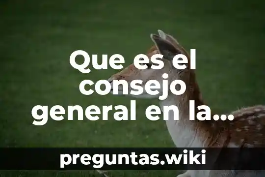 Que es el consejo general en la lgipe