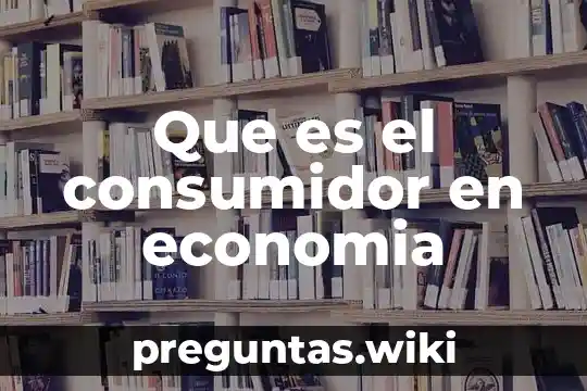 Que es el consumidor en economia