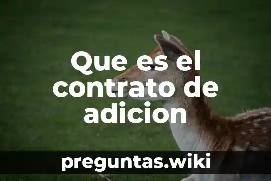 Que es el contrato de adicion
