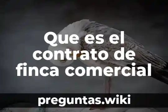 Que es el contrato de finca comercial