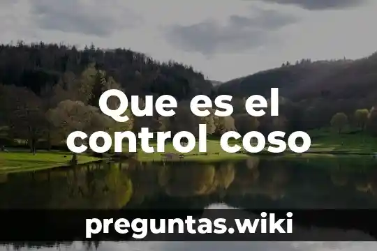 Que es el control coso
