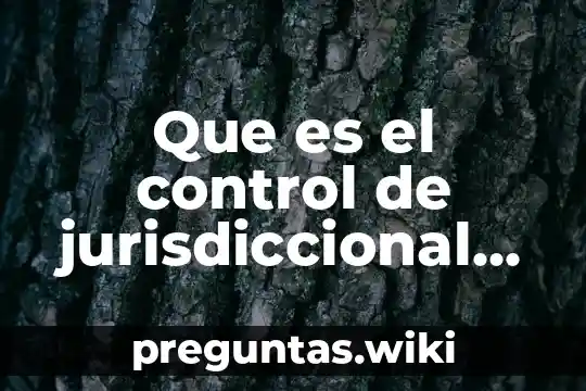 Que es el control de jurisdiccional concepto derechos humanos