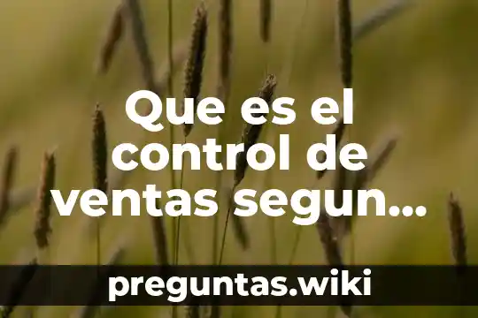Que es el control de ventas segun autores