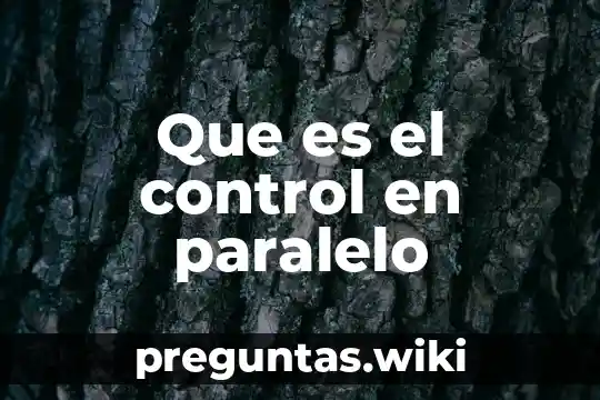 Que es el control en paralelo