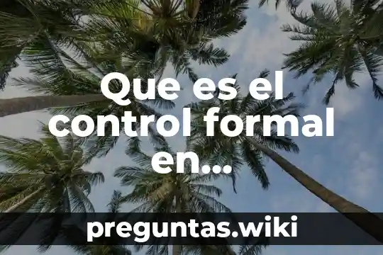 Que es el control formal en administracion