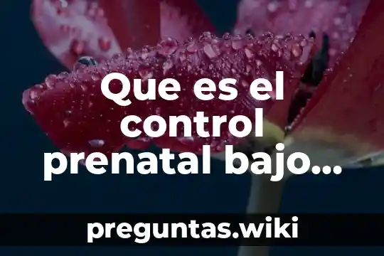 Que es el control prenatal bajo riesgo