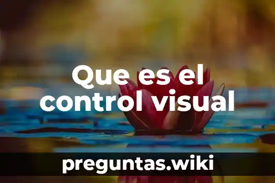 Que es el control visual