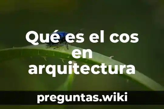 Qué es el cos en arquitectura
