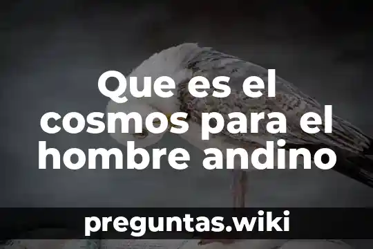 Que es el cosmos para el hombre andino