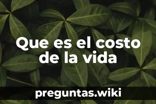 Que es el costo de la vida