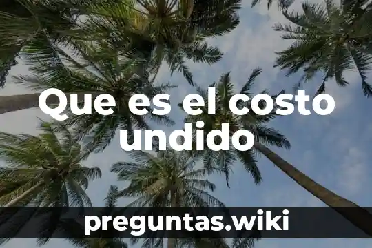 Que es el costo undido