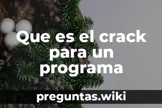 Que es el crack para un programa