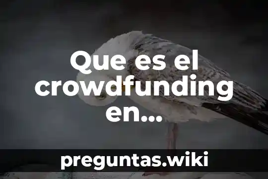 Que es el crowdfunding en contabilidad