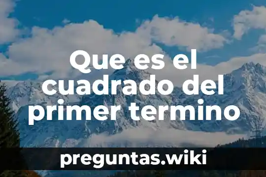 Que es el cuadrado del primer termino