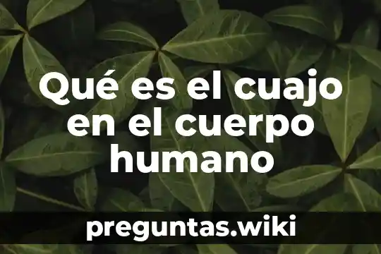 Qué es el cuajo en el cuerpo humano