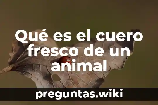 Qué es el cuero fresco de un animal