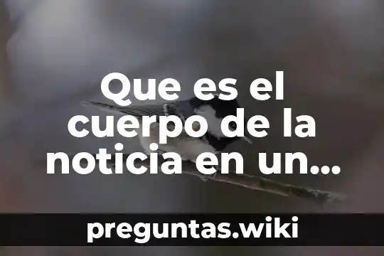 Que es el cuerpo de la noticia en un periodico