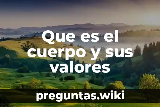 Que es el cuerpo y sus valores